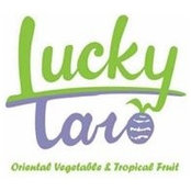 Lucky Taro's photo