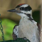 Jonas Barrientos's photo