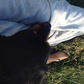 Tsetsen Altnaa's photo