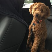 Anna Lee's photo