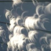 Nancy Rappard's photo