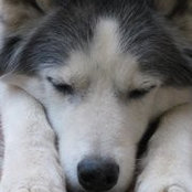 Lisa Casper's photo