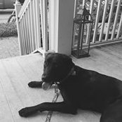 Nadia Miller's photo