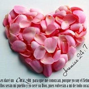 Amanda Shaneydi's photo