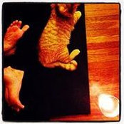 Christa Overbeck's photo