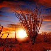 LeAnne Enrights foto