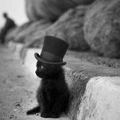 Vera Alsina's photo
