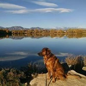 Jan Mortensen's photo