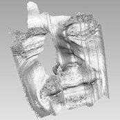 Thomas Lillevang's photo