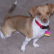 Leslie Kling's photo