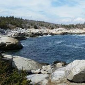 Foto von M. Darlene Loyal
