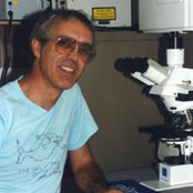 Steve Kempfs foto
