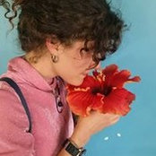 Foto von Lauren Beer