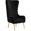 Alexander Velvet Upholstered Accent Chair, Black