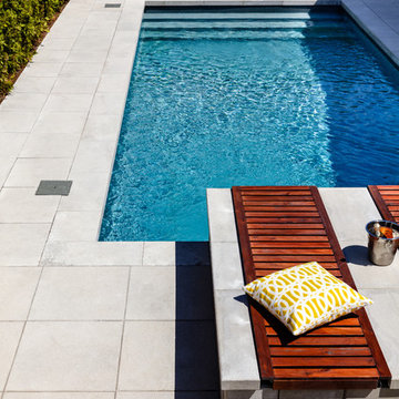Contemporary Backyard