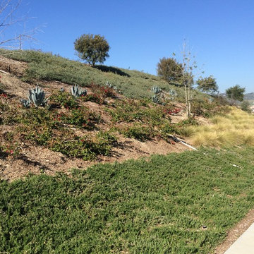 Drought landscape