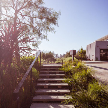 Entry Stairs from Street
