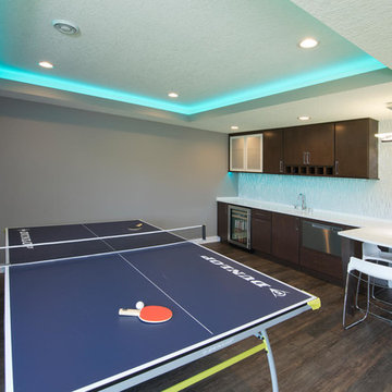 Fall 2017 Remodelers Showcase Lower Level Dream Project