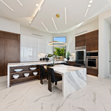 Sand Dollar Model