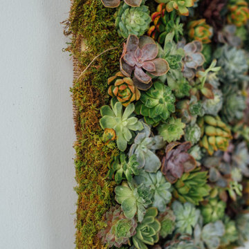 Modern Dining Room with Custom Succulent Wall