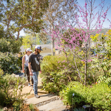 Stroll in Spring Blooms