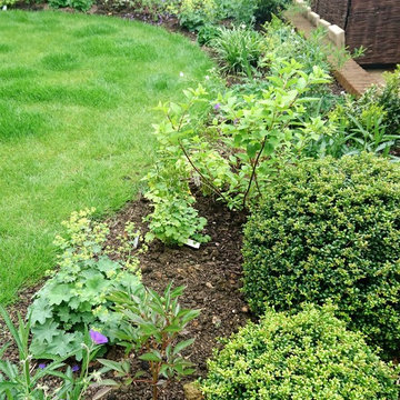 Small Town Garden, Marlborough