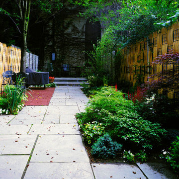 Urban deck and garden