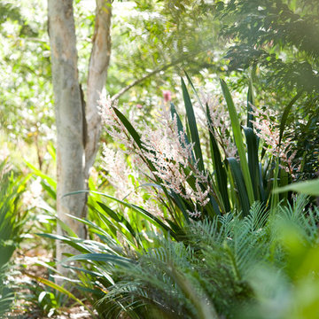 Avalon Garden