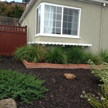 San Mateo Hillside Nativescape