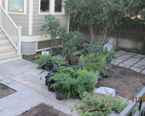 Modern no lawn front yard!
