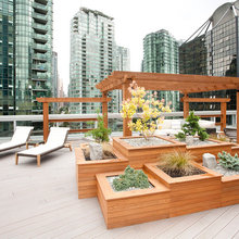 Planter Boxes