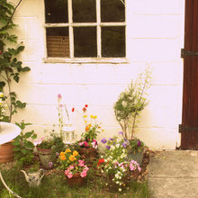 Container garden