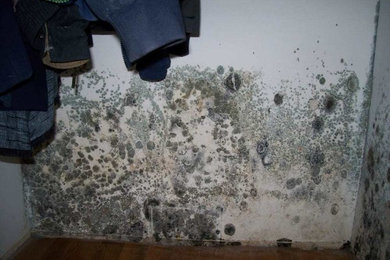 Mold Remediation in Irvine, CA