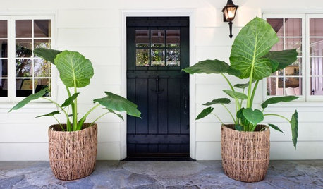 30 Things to Do at Home When Cabin Fever Strikes