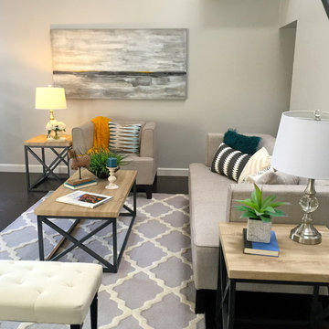 Living Room Staging in Poway Beach