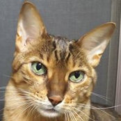 Betsy Dumont's photo