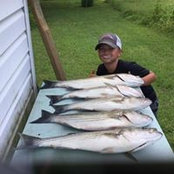 Mike Hayden's photo