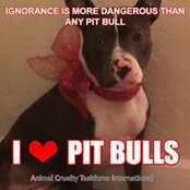 Carla Janes's photo