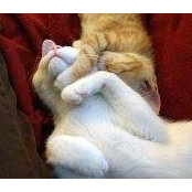 Christina Burch's photo