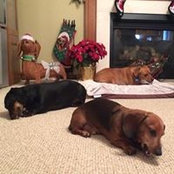 Debi Johnson's photo
