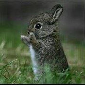 Foto von Tina Lovensheimer