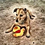 Julie Jernigan's photo