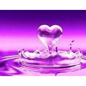 Cynthia Potts's photo