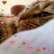 Yasmine Sursock-Khouri's photo