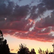 Sara Johnson's photo