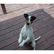 Bruno Rodriguez's photo