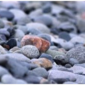 Ginny Brackett's photo