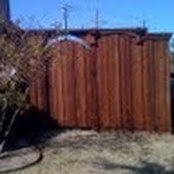 Wes Borchardt's photo