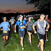 Max Alvarado's photo