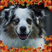 Lori Schlosser's photo